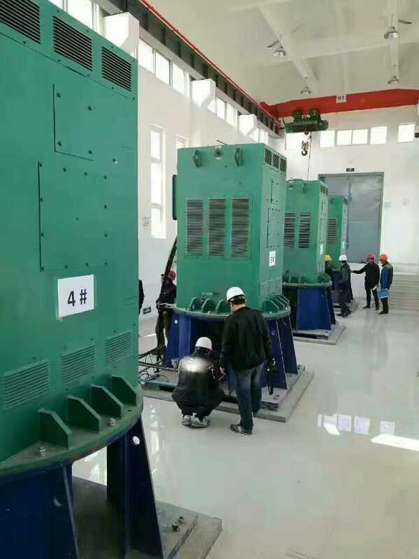 东莞生态园某污水处理厂使用我厂的立式高压电机安装现场